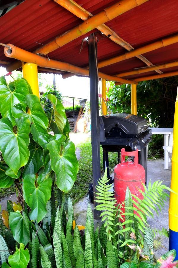 Casa Finca Villa Luz A 800 Mts Del Parque Del Cafe モンテネグロ エクステリア 写真